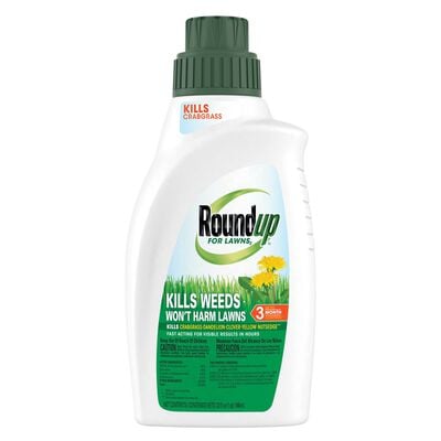 Roundup® For Lawns2 Concentrate (Northern)