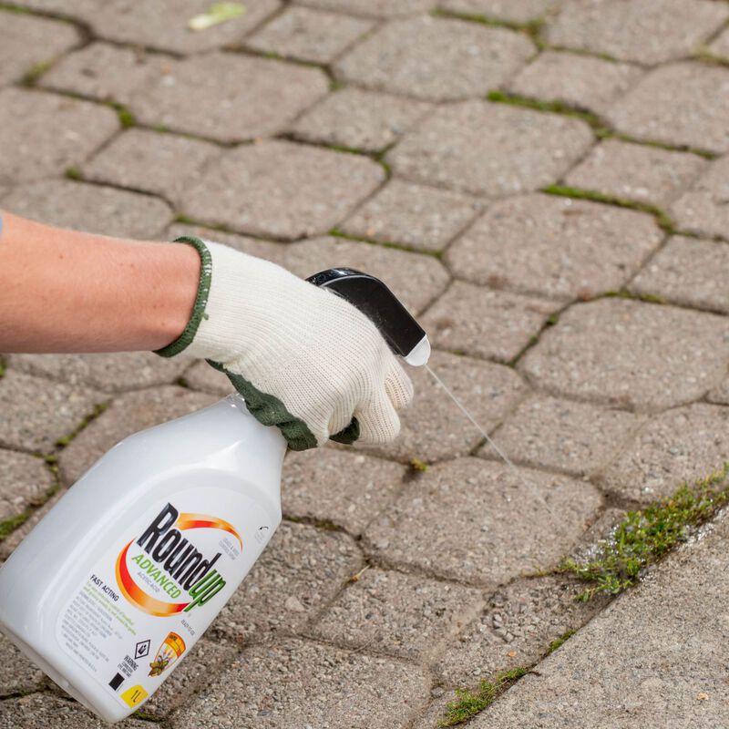 Roundup® Advanced Weed Control Ready-To-Use Spray image number null