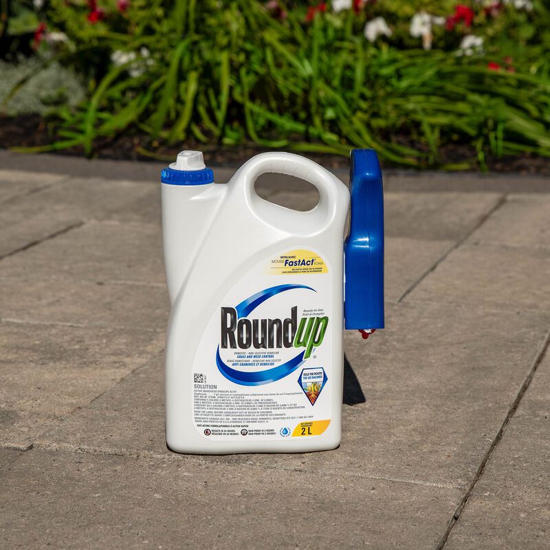 Roundup® Ready-to-Use Grass and Weed Control Non-Selective Herbicide With FastAct® Foam image number null
