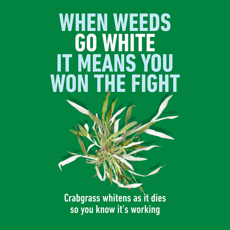 Roundup® for Lawns Crabgrass Destroyer2 image number null