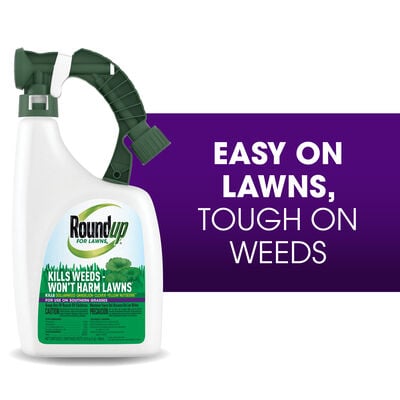 Roundup® For Lawns₆ Ready-To-Spray (Southern)