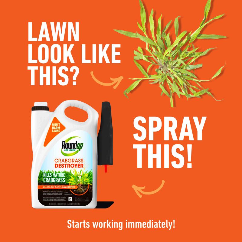 Roundup® for Lawns Crabgrass Destroyer2 image number null