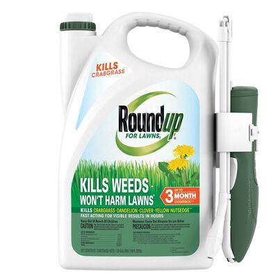 Roundup® For Lawns₁