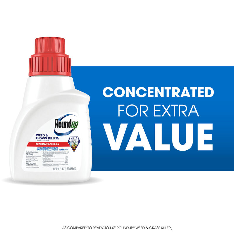 Roundup® Weed & Grass Killer₄ Concentrate image number null