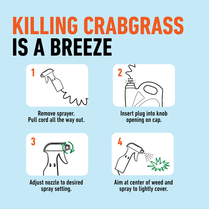 Roundup® for Lawns Crabgrass Destroyer2 image number null