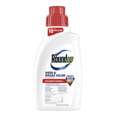 Roundup Weed & Grass Killer4 Concentrate
