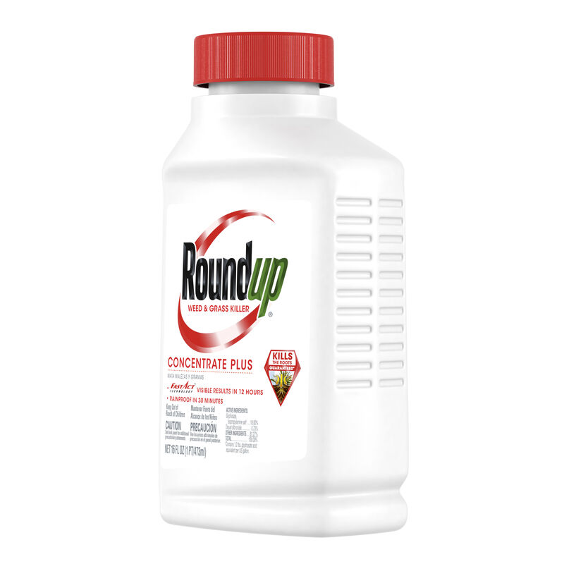 Roundup® Concentrate Plus Weed and Grass Killer image number null