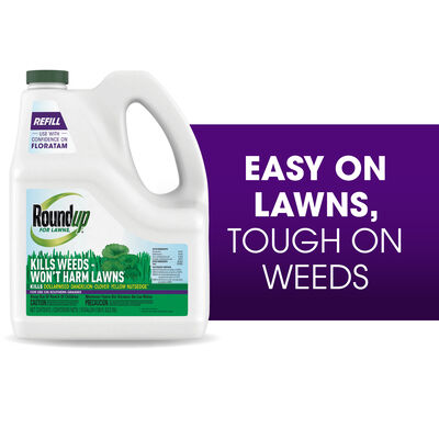 Roundup® For Lawns₄ Refill (Southern)
