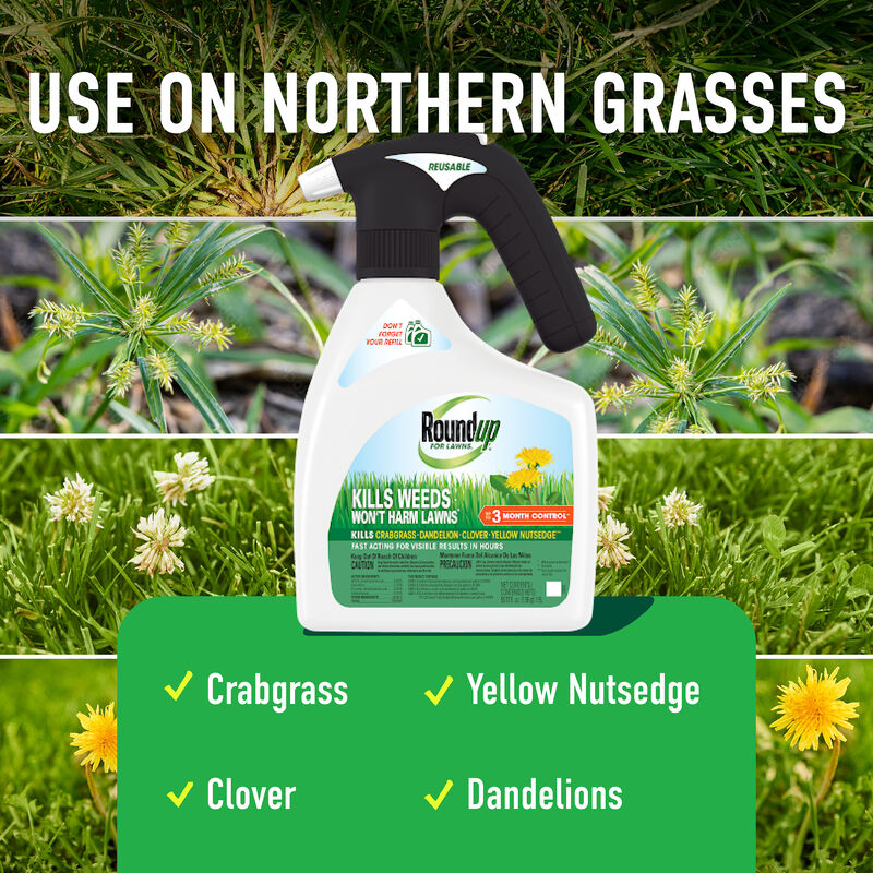 Roundup® For Lawns₁ with QuickHand™ Sprayer image number null