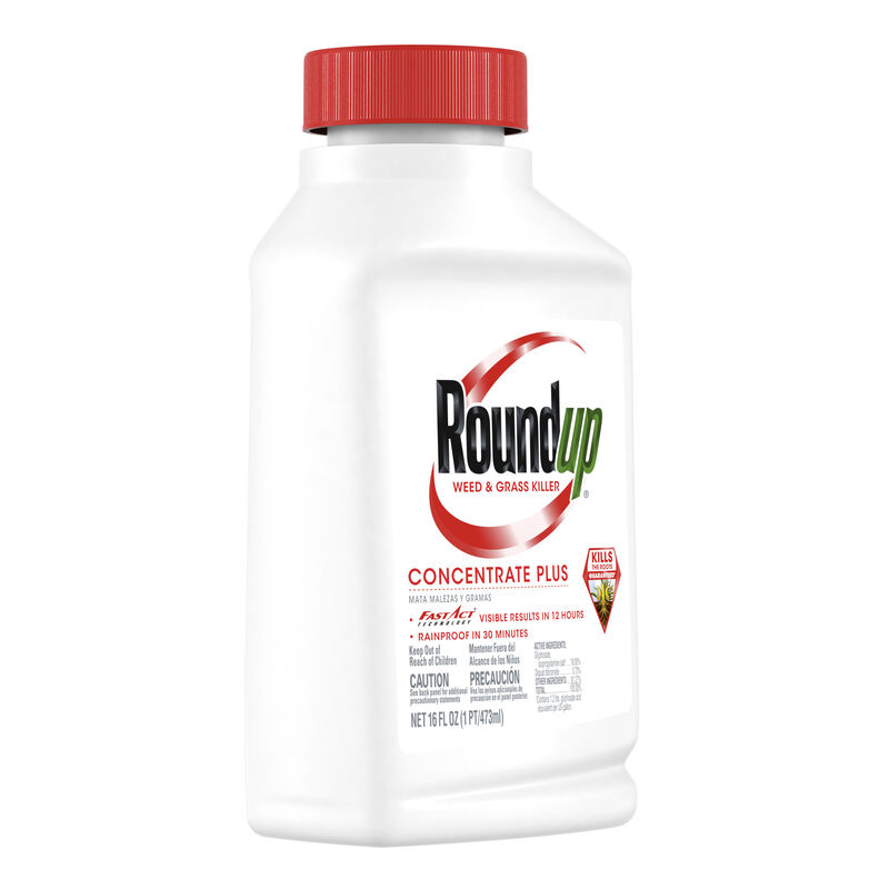 Roundup® Concentrate Plus Weed and Grass Killer image number null