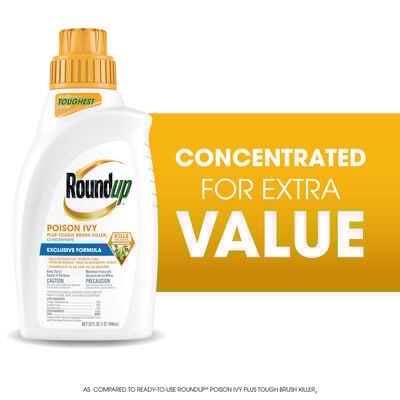 Roundup Poison Ivy Plus Tough Brush Killer₂ Concentrate