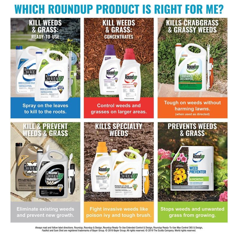 Roundup® Super Concentrate Weed & Grass Killer image number null