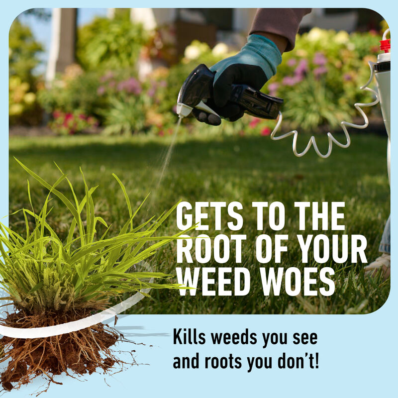 Roundup® for Lawns Crabgrass Destroyer2 image number null