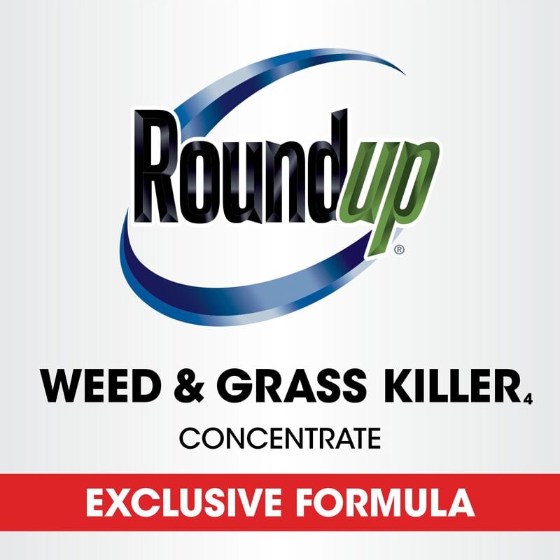 Roundup® Weed & Grass Killer₄ Concentrate image number null