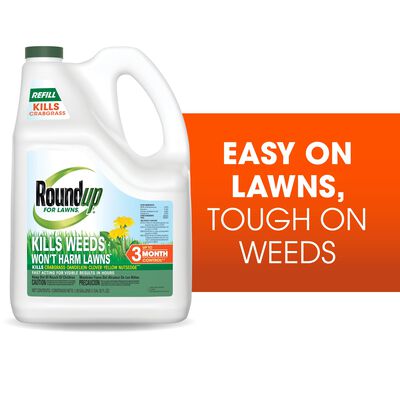 Roundup® For Lawns₁