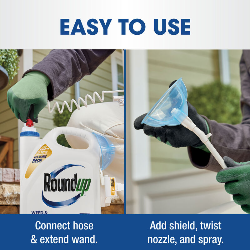 Roundup® Weed & Grass Killer₄ with Sure Shot Wand® image number null