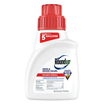 Roundup® Weed and Grass Killer Concentrate