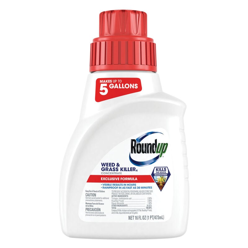 Roundup® Weed & Grass Killer₄ Concentrate image number null