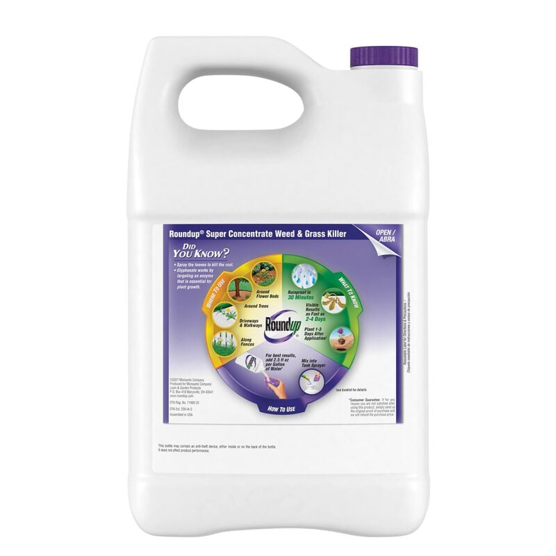 Roundup® Super Concentrate Weed & Grass Killer image number null
