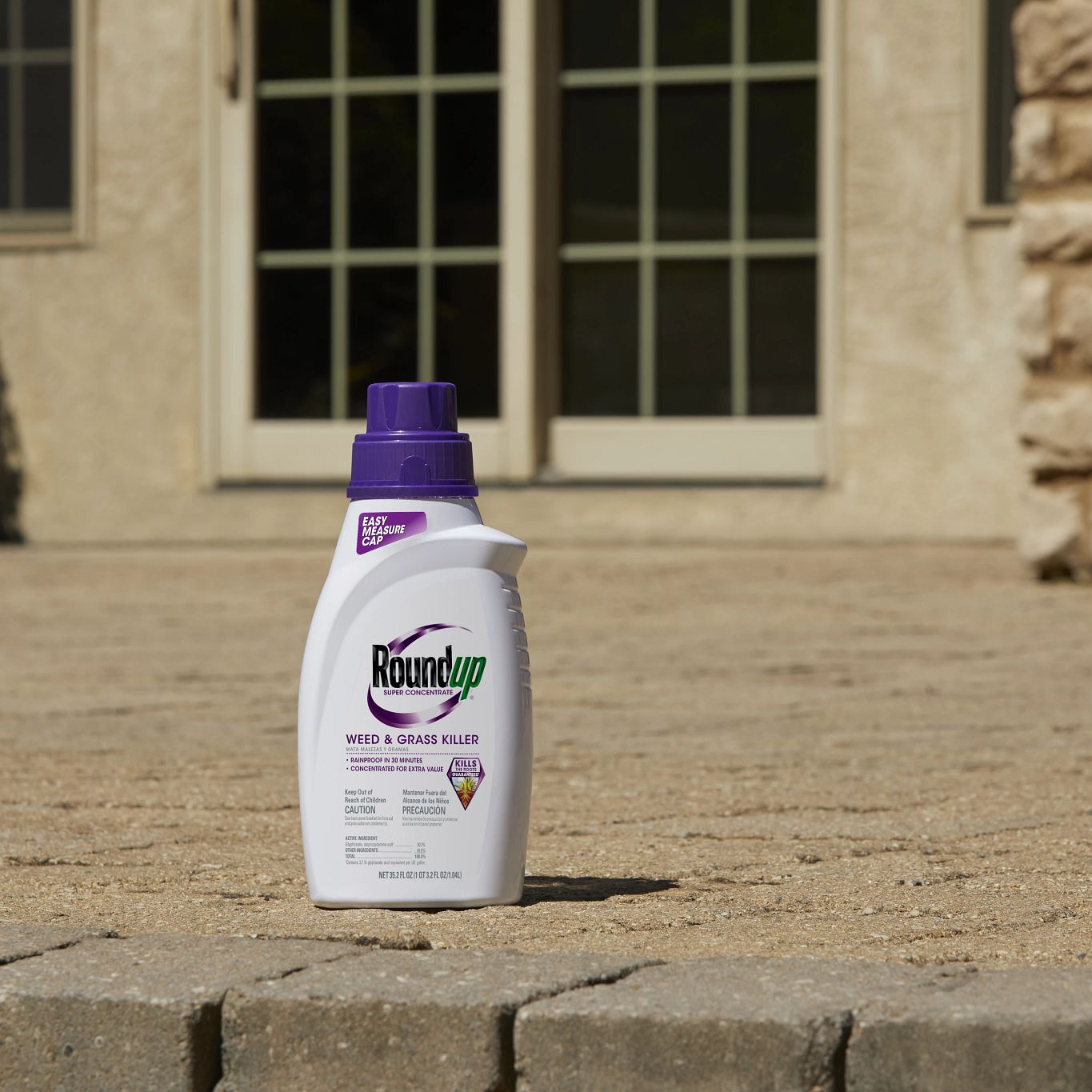 Roundup concentrate new arrivals