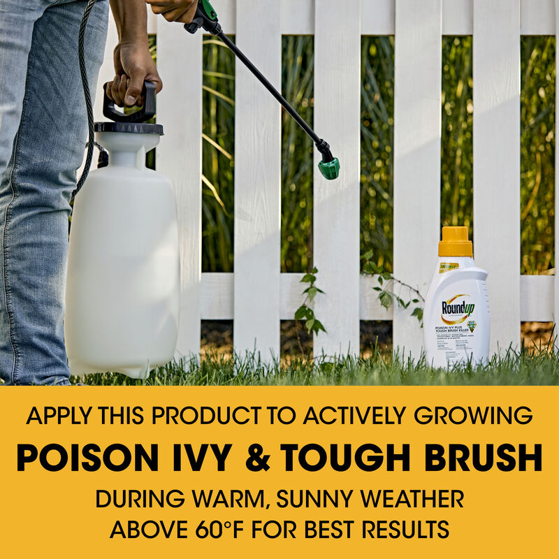 Roundup® Concentrate Poison Ivy Plus Tough Brush Killer image number null