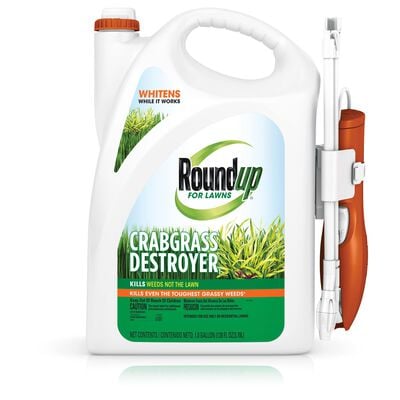 Roundup® for Lawns Crabgrass Destroyer1