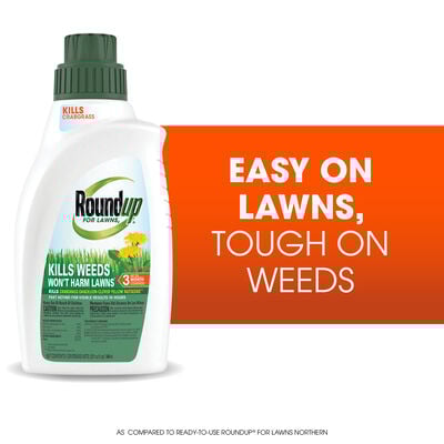 Roundup® For Lawns₂