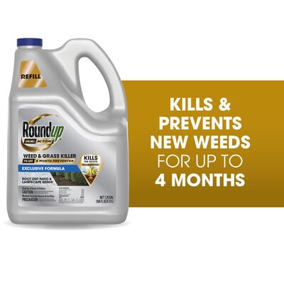 Roundup® Dual Action Weed & Grass Killer Plus 4 Month Preventer Refill