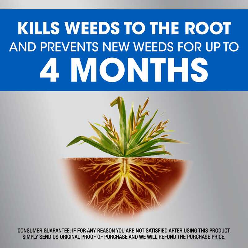 Roundup® Dual Action Weed & Grass Killer Plus 4 Month Preventer with Sure Shot® Wand image number null