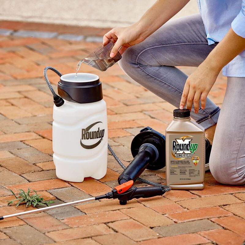 Roundup Concentrate Extended Control Weed & Grass Killer Roundup