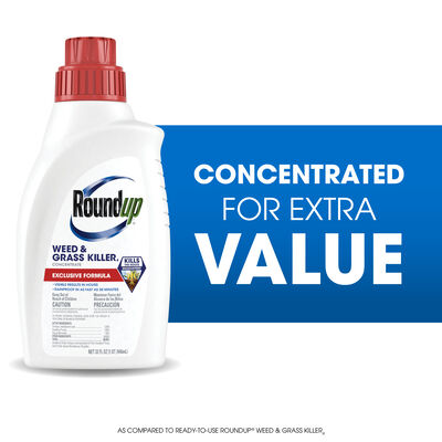 Roundup Weed & Grass Killer₄ Concentrate