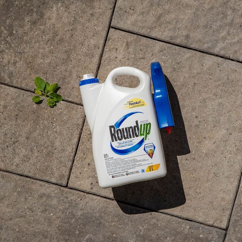 Roundup® prêt-à-l'emploi herbicide non sélectif avec mousse FastAct image number null