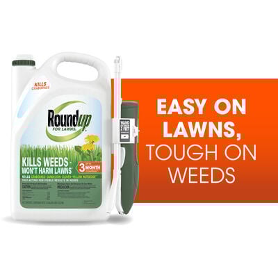 Roundup® For Lawns (Northern)