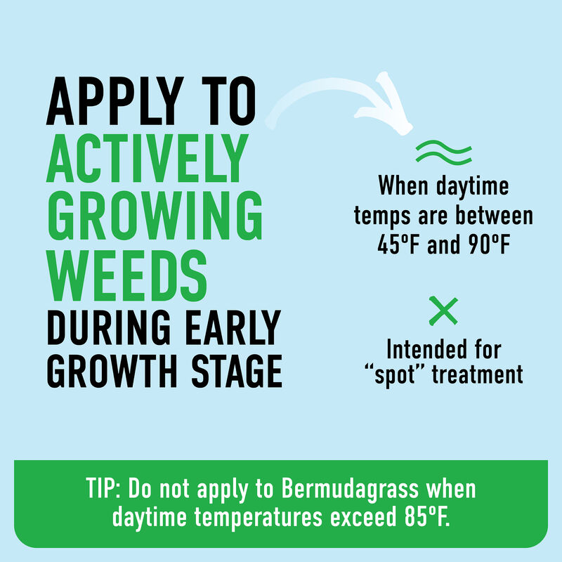 Roundup® For Lawns₁ with QuickHand™ Sprayer image number null
