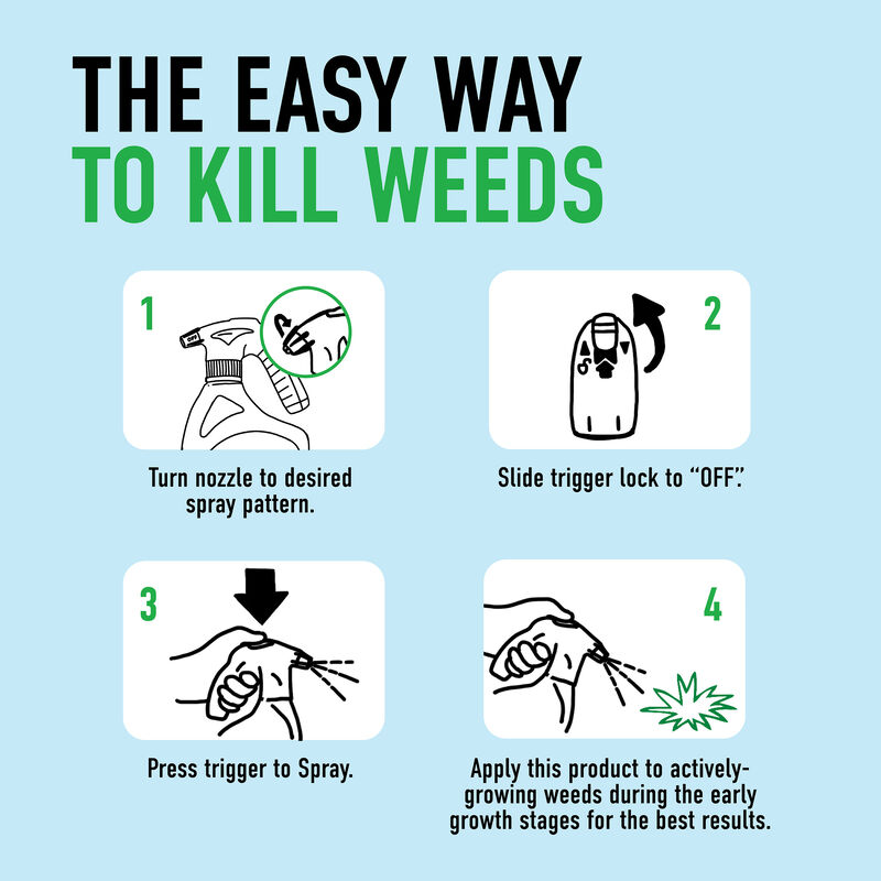 Roundup® For Lawns₁ with QuickHand™ Sprayer image number null