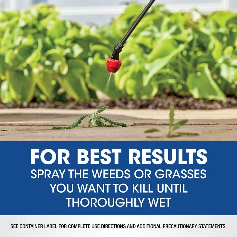 Roundup® Weed & Grass Killer₄ Concentrate image number null