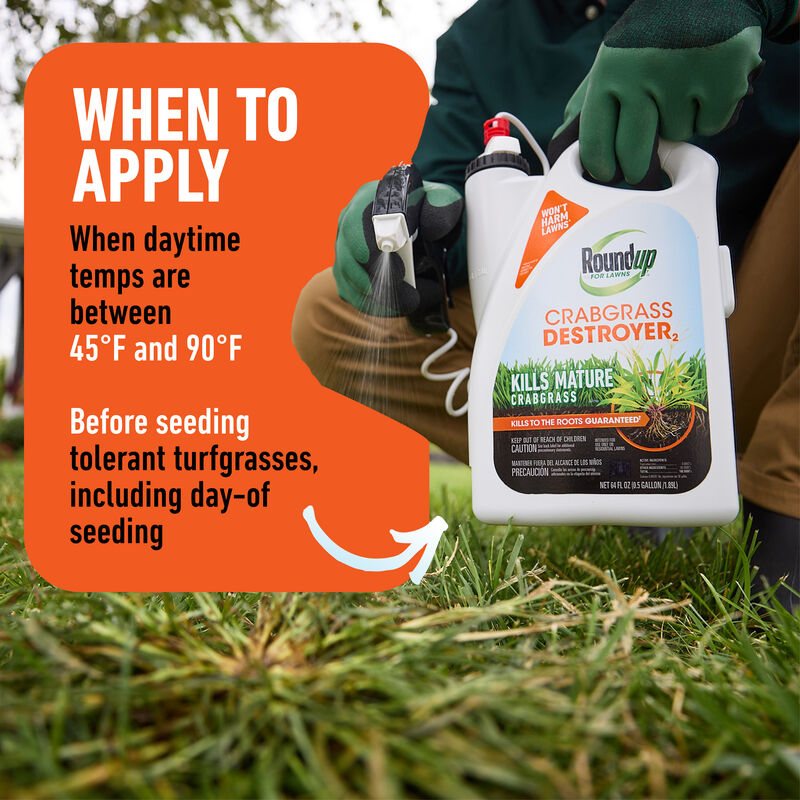 Roundup® for Lawns Crabgrass Destroyer2 image number null