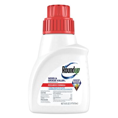 Roundup® Weed and Grass Killer₄ Concentrate