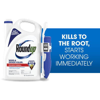 Roundup® Weed & Grass Killer₄ with Comfort Wand®