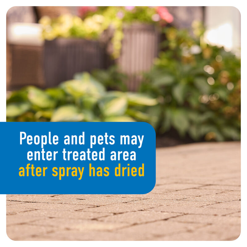 Roundup® Dual Action Weed & Grass Killer Plus 4 Month Preventer QuickHand™ image number null