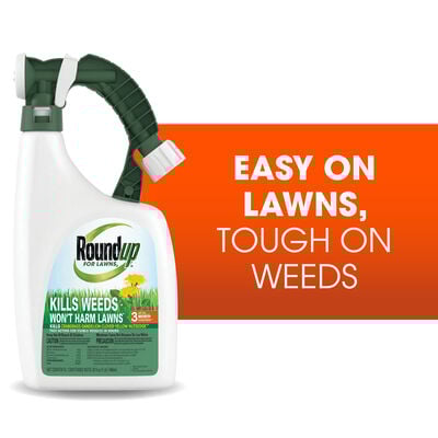 Roundup® For Lawns₃