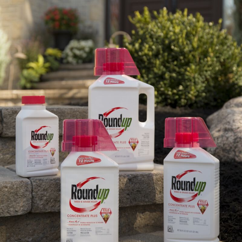 Roundup® Concentrate Plus Weed and Grass Killer image number null