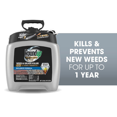 Roundup Dual Action 365 Weed & Grass Killer Plus 12 Month Preventer with Pump 'N Go 2 Sprayer