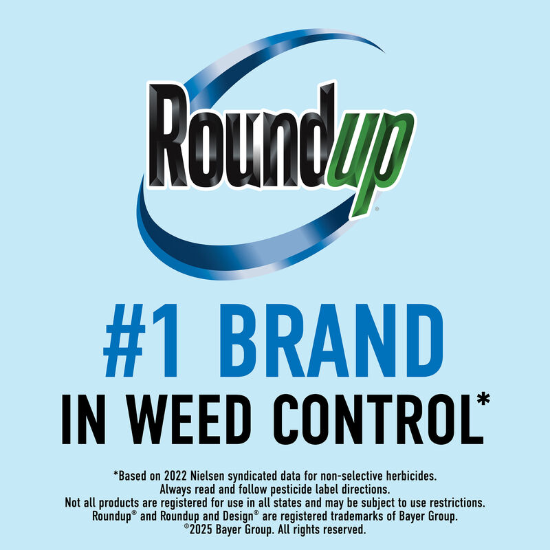 Roundup® Dual Action Weed & Grass Killer Plus 4 Month Preventer QuickHand™ image number null