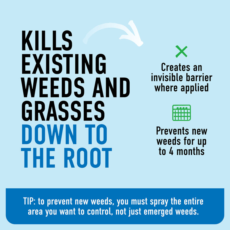 Roundup® Dual Action Weed & Grass Killer Plus 4 Month Preventer QuickHand™ image number null