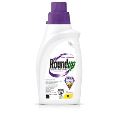 Roundup® Super Concentrate Weed Killer