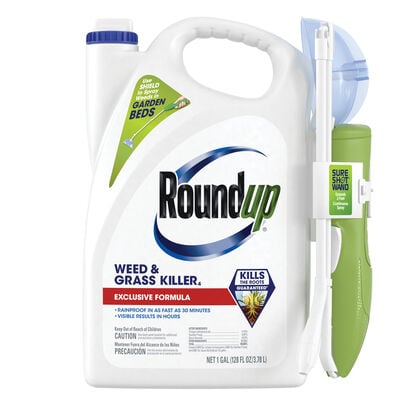 Roundup Weed & Grass Killer4 with Sure Shot Wand