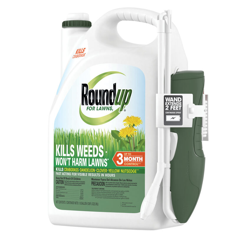 Roundup For Lawns1 Ready-To-Use with Extend Wand image number null