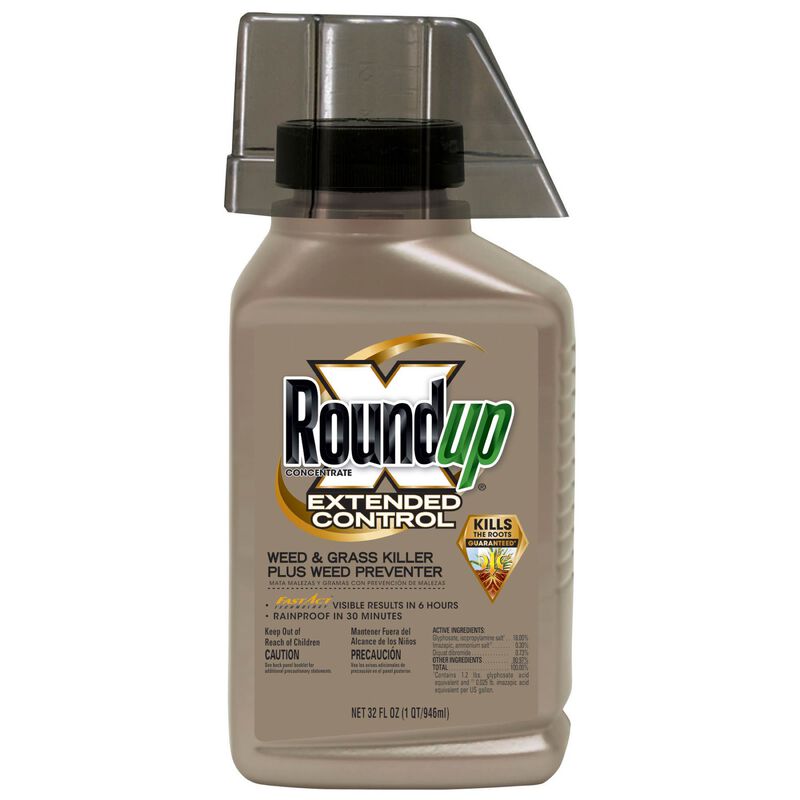 Roundup Concentrate Extended Control Weed & Grass Killer Roundup
