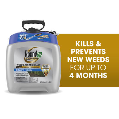 Roundup® Dual Action Weed & Grass Killer Plus 4 Month Preventer with Pump 'N Go® 2 Sprayer